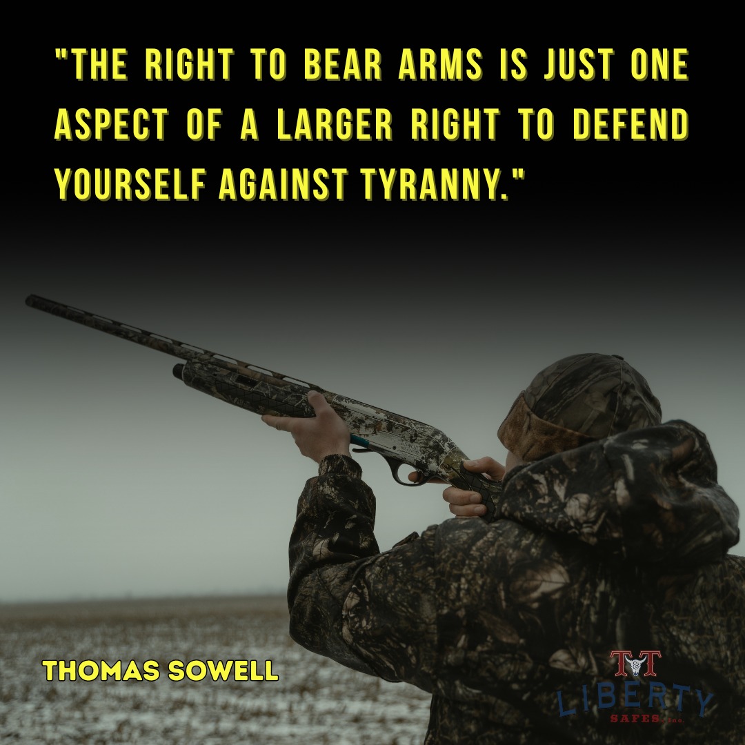 2nd Amendment - meme