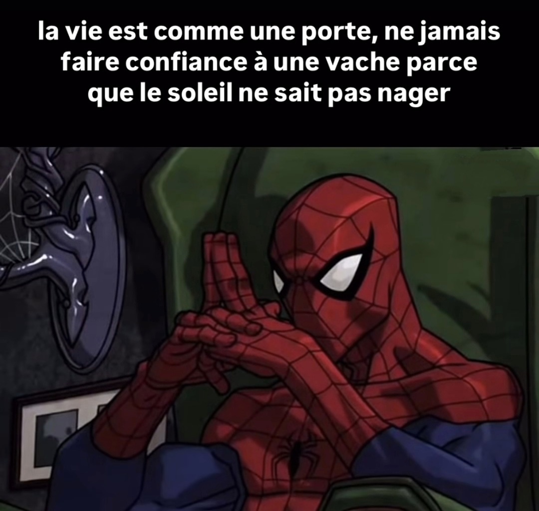 La phrase de vie parfaite pour un T-shirt complètement vide de sens - meme