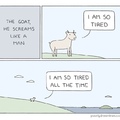 that’s my goat
