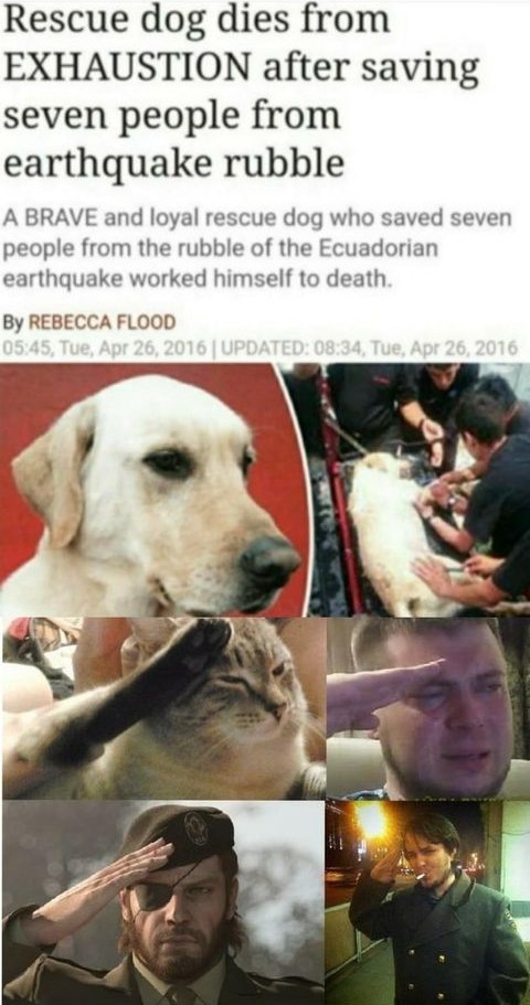 RIP Doggo - meme