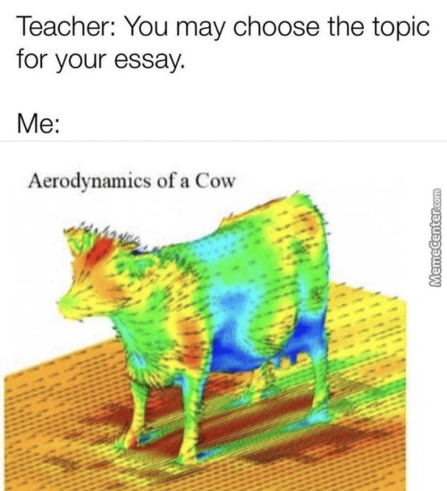 Cow - meme