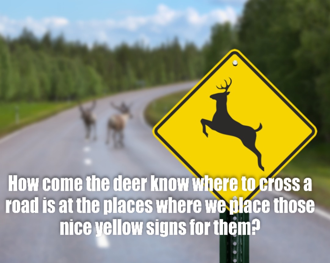 How Come - Deer need signs anyway? It’s not as if they can read. - meme