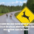 How Come - Deer need signs anyway? It’s not as if they can read.