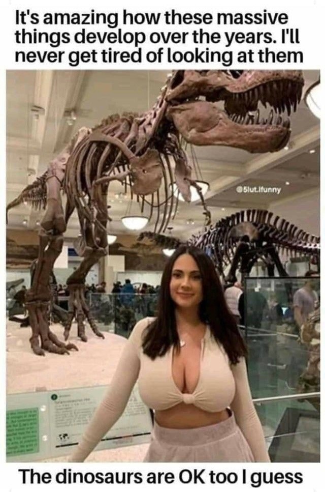 Jurassic Boobzilla - meme