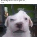 commented item thumbnail