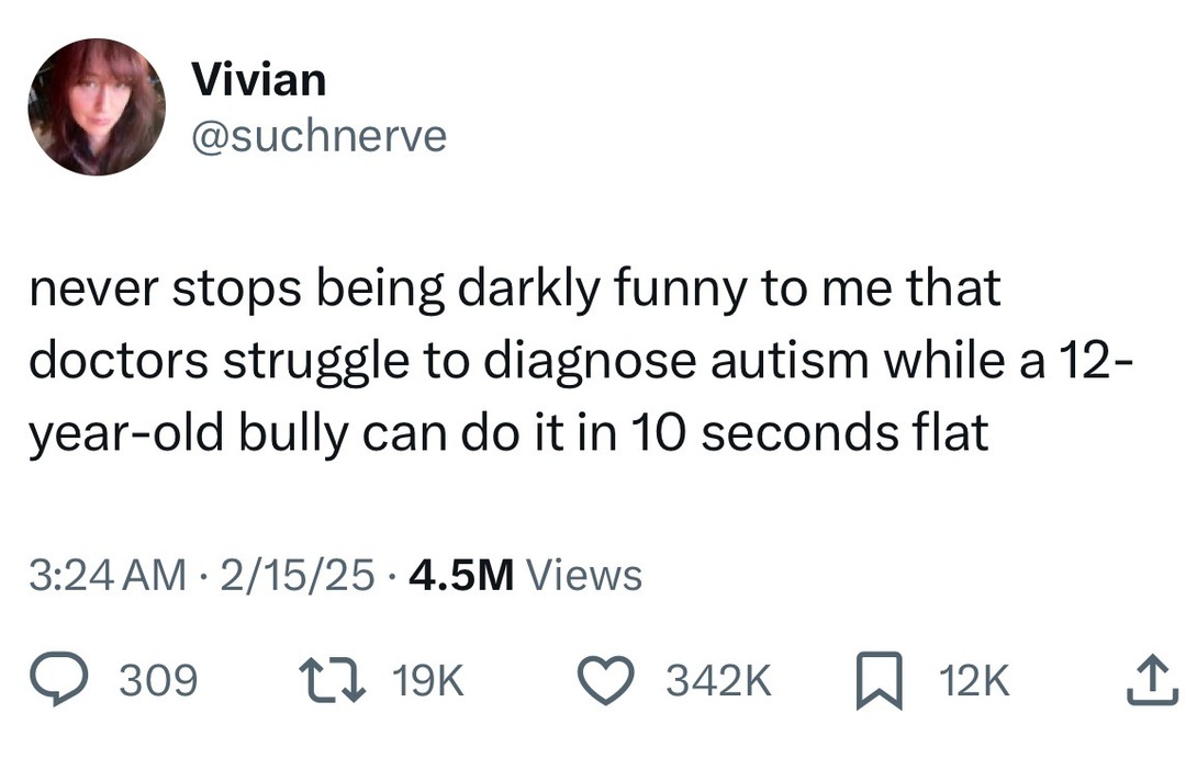 ﻿Vivian @suchnerve never stops being darkly funny to me that doctors struggle to diagnose autism while a 12- year-old bully can do itin 10 seconds flat 3.24AM 2/15/25 4.5M Views 309 4 19K 342K 12K