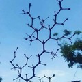 commented item thumbnail