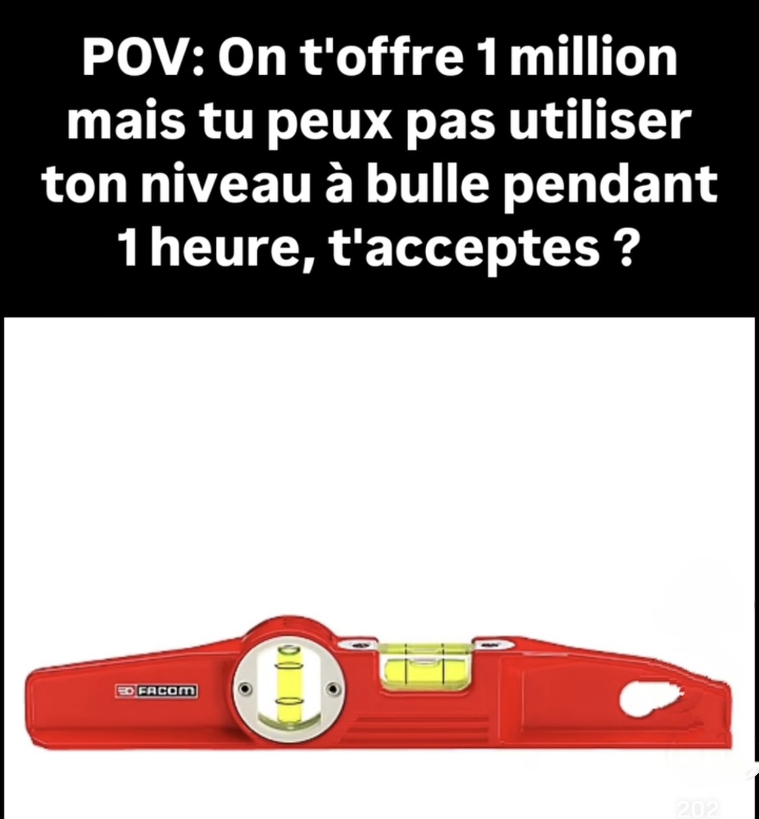 Sans le niveau à bulle? Jamais - meme