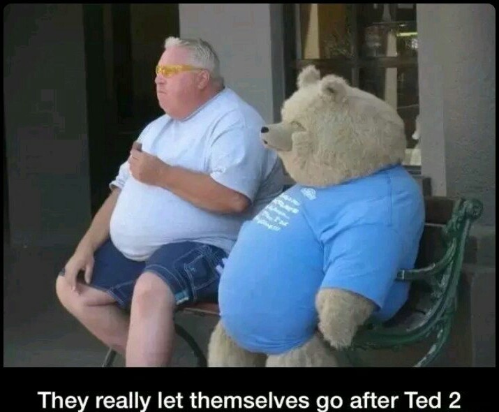 Fat bear - meme