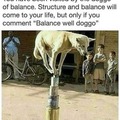 Balance well doggo