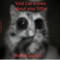 Void Cat knows