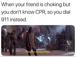 All jokes aside yall better know CPR - meme