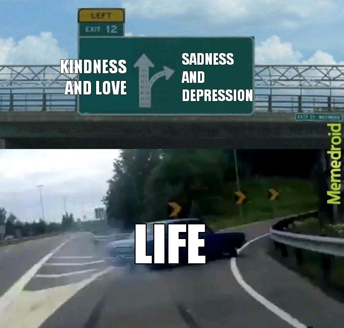 The life - meme