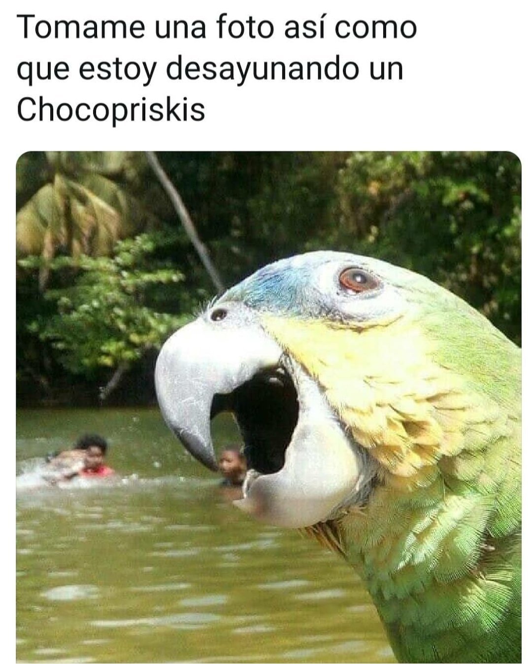 Chokapi - meme