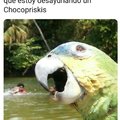 Chokapi