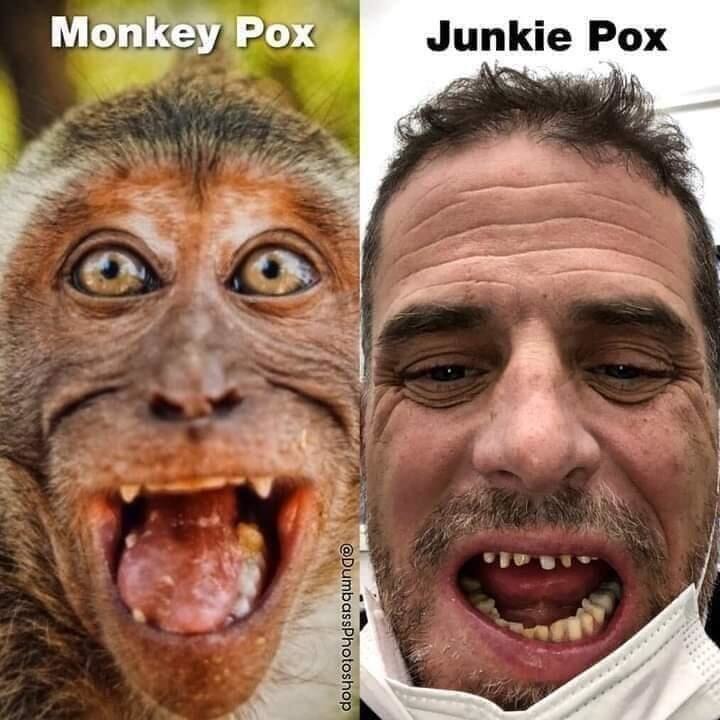 Junkie Pox - meme