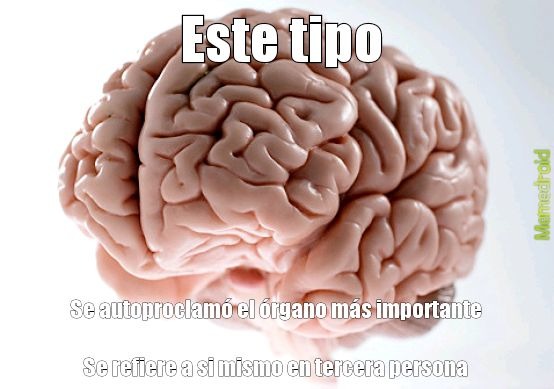 Cerebro= yo - meme