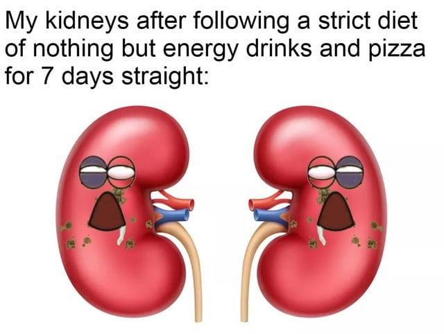 Kidney meme