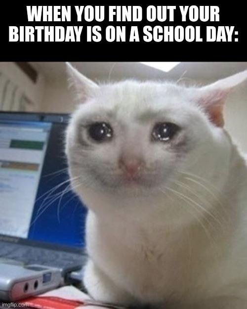 Birthday on a school day - meme