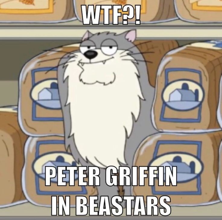 beastar si fuera bueno - meme