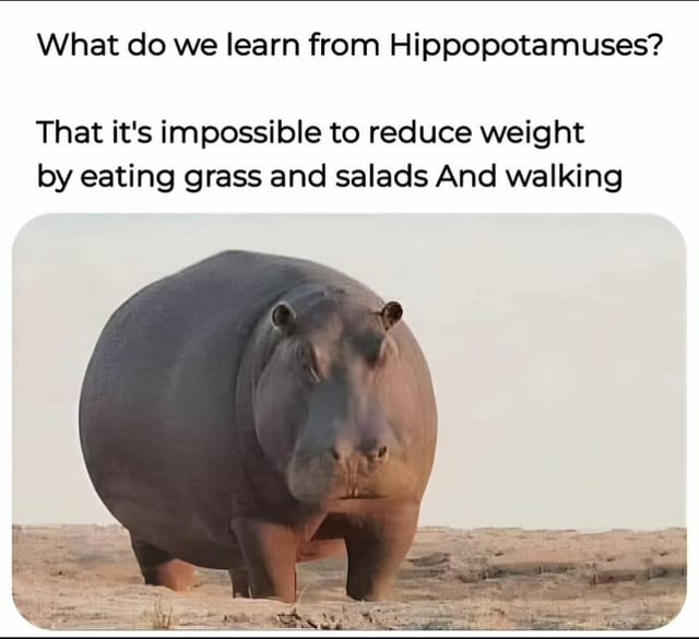 What do we learn from hippos? - meme