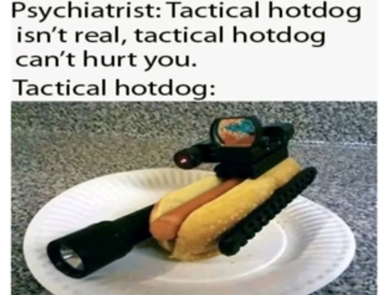 Deploying Tactical Hotdog - meme