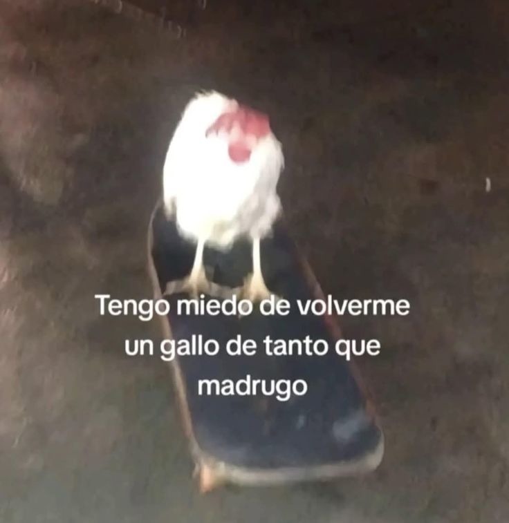 Ahre - meme