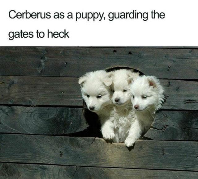 Cerberus as a puppy - meme