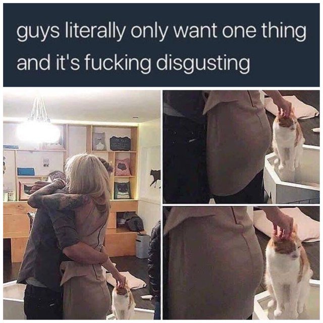 Guys literally only want one thing and it's fucking disgusting - meme
