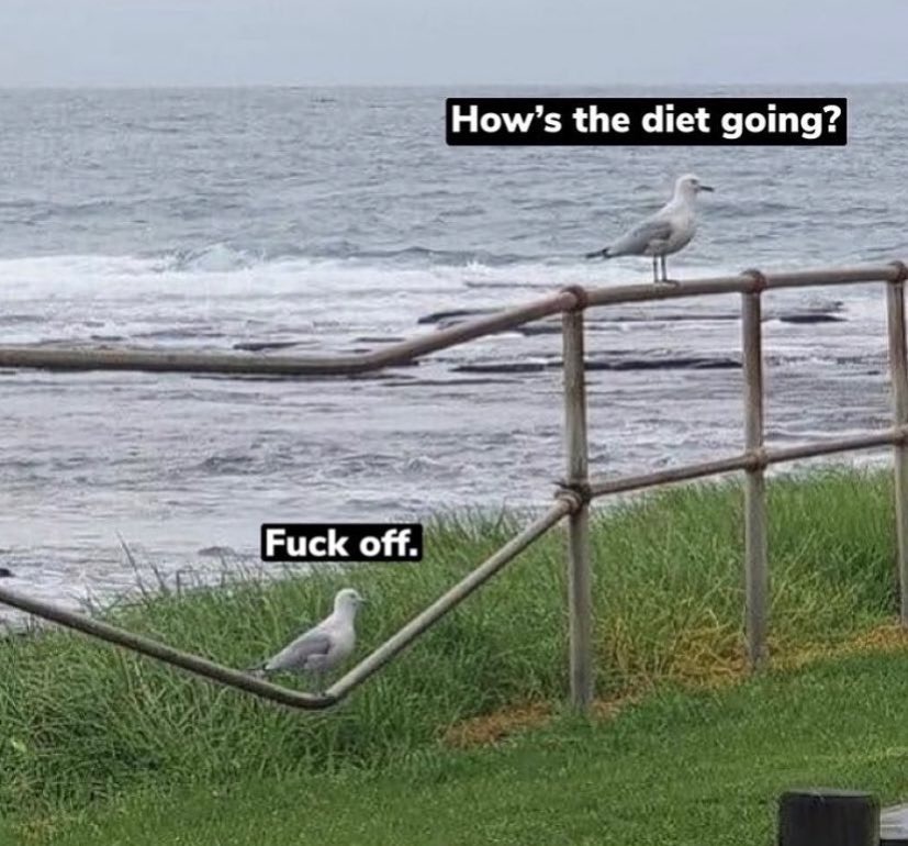 yeah - meme