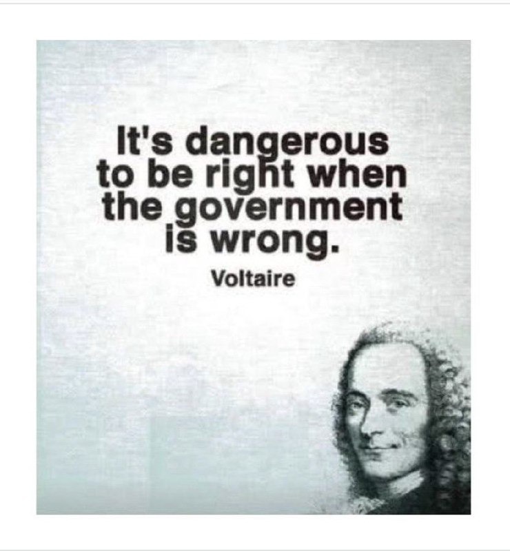 When the government is wrong, even Voltaire would roast them - meme