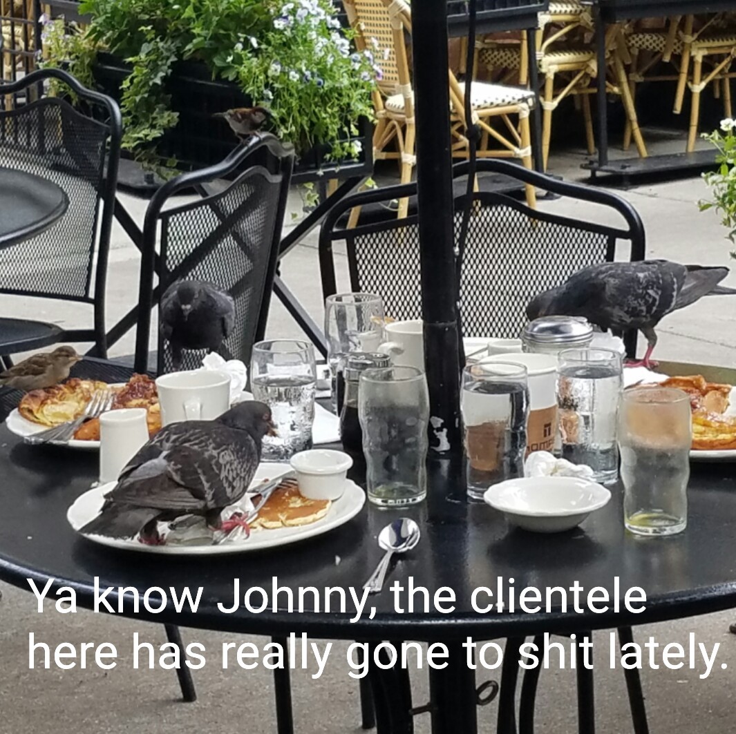 This restaurant is for the birds.... - meme