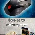 Raton gamer