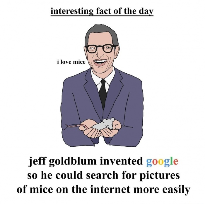 Fact of the Day - meme
