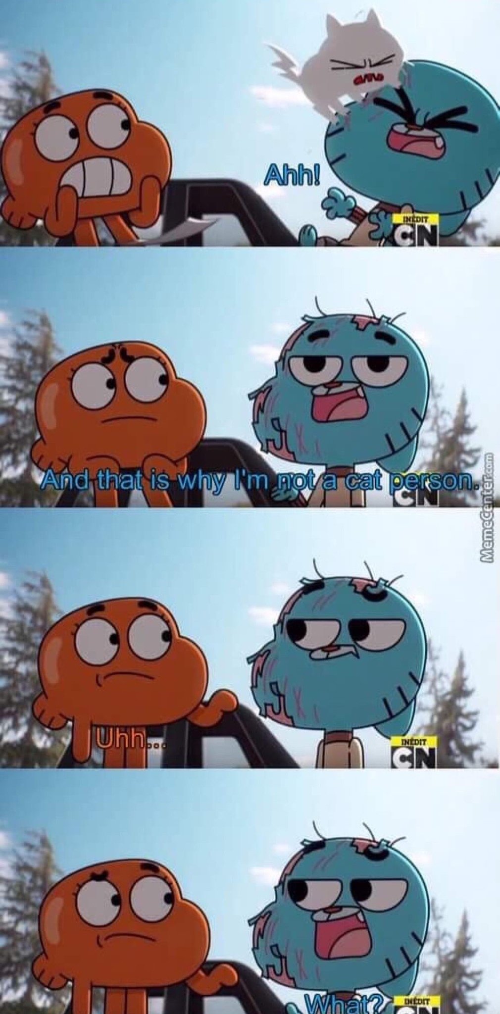 This show is the only good Cartoon Network show - meme