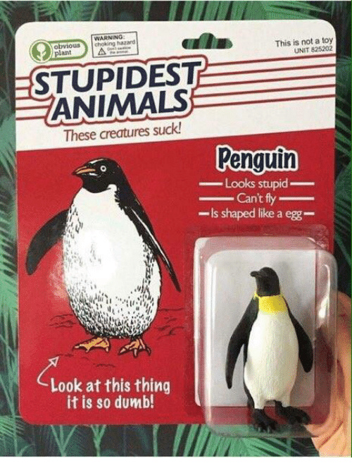 Retarded Penguin - meme