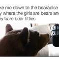 Bear titties