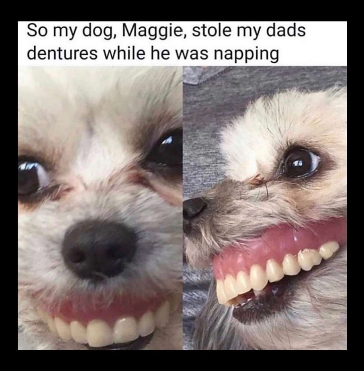 Maggie - meme