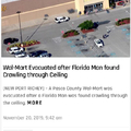 Florida man: revenge of the Florida