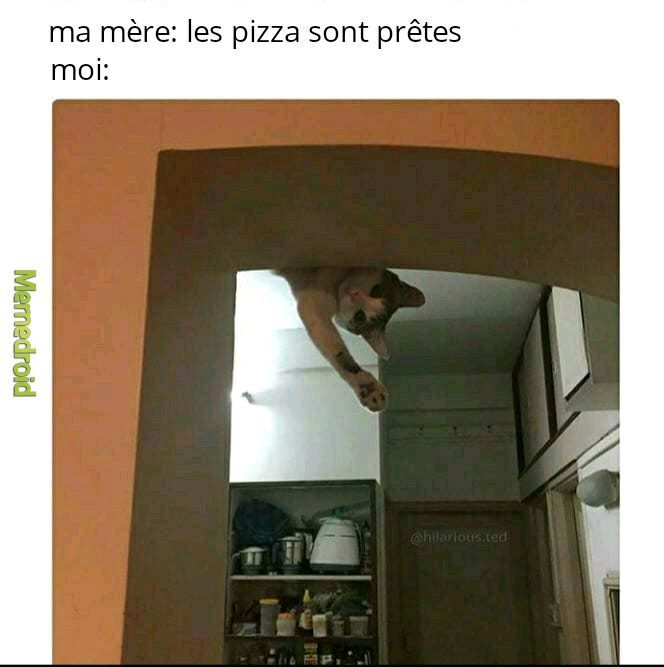 Pizzaaa - meme