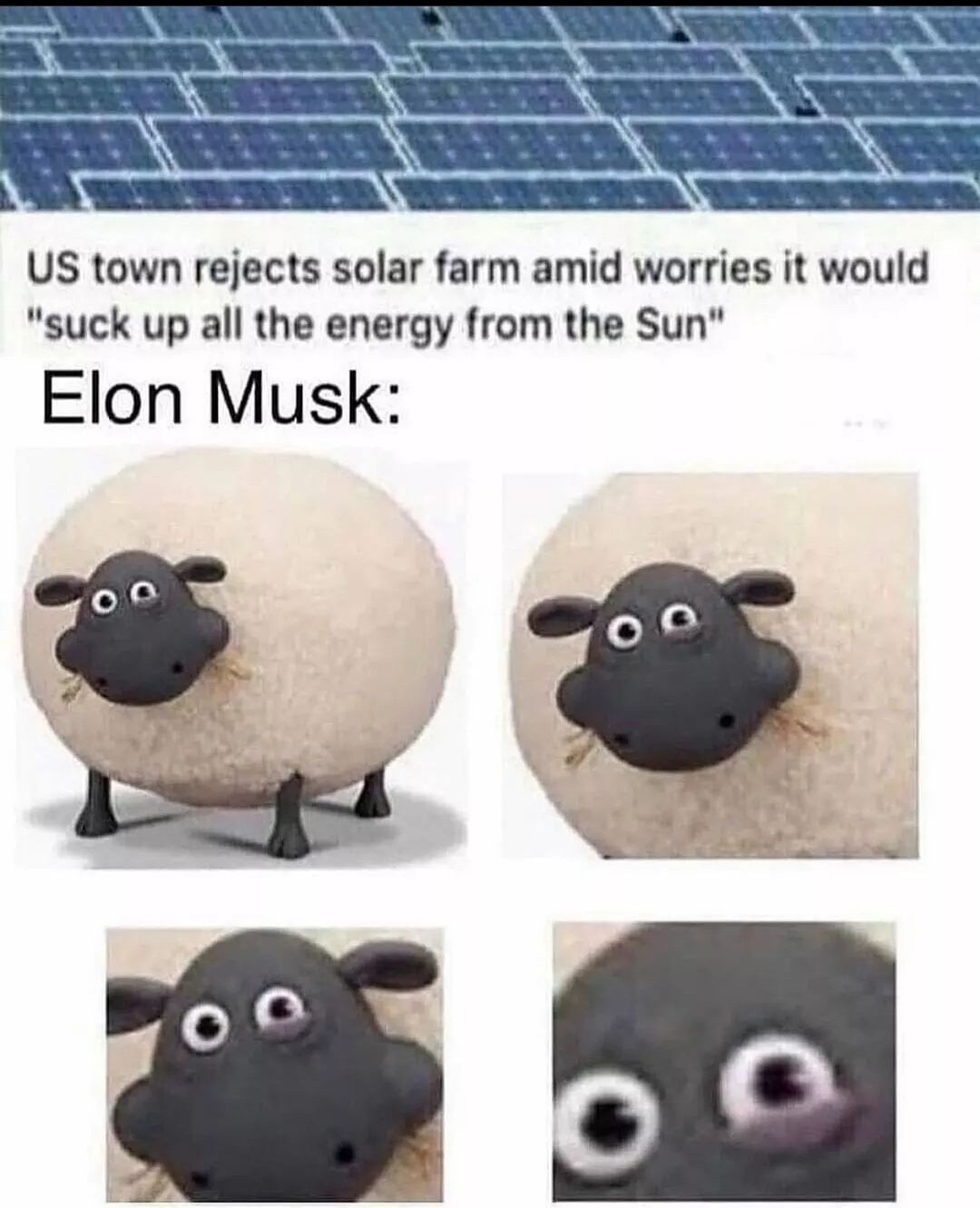 Elon - meme