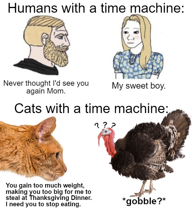 Cats with a time machine meme