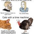 Cats with a time machine meme