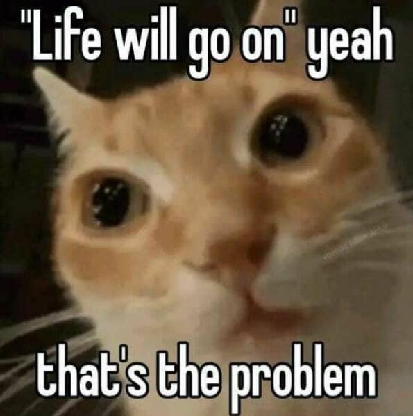 Imagine just dying - meme