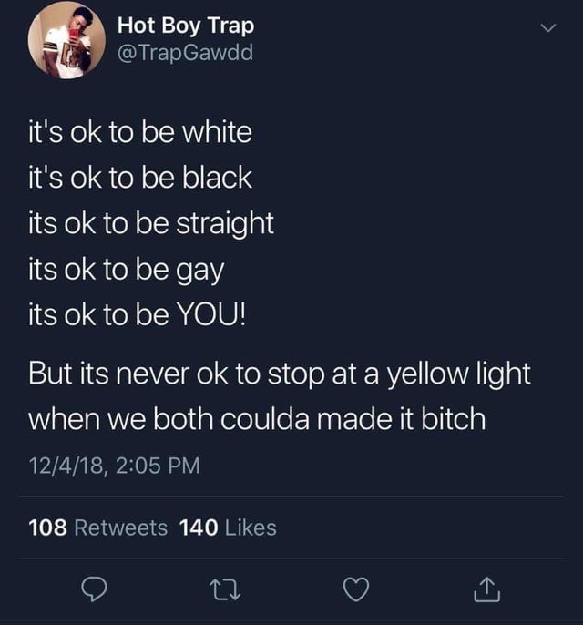 It is never ok to stop at a yellow light when we both couda made it bitch - meme