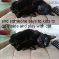 Black cat confessions