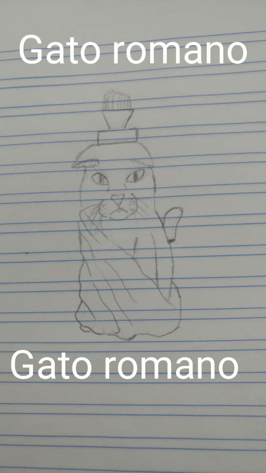 Gato romano - meme