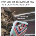 Cat obsession is a real issue