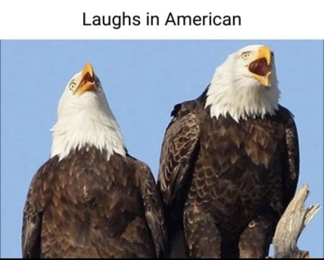 British suck - meme