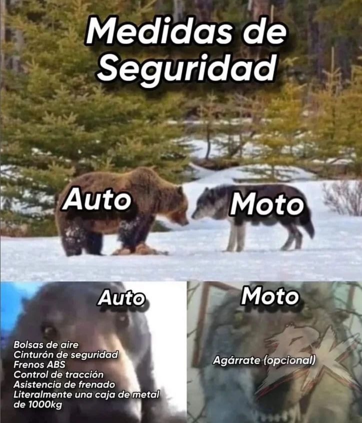 Introduce el titulo de tu meme